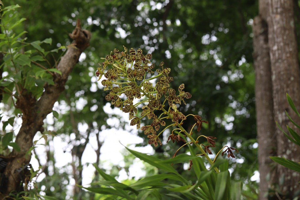 FILE-20260316-1052NDPC5S79VER3