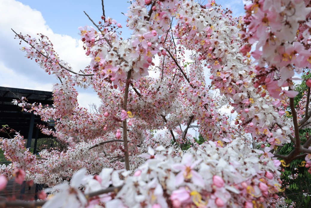 FILE-20260316-1052S6KDVJ6249WM