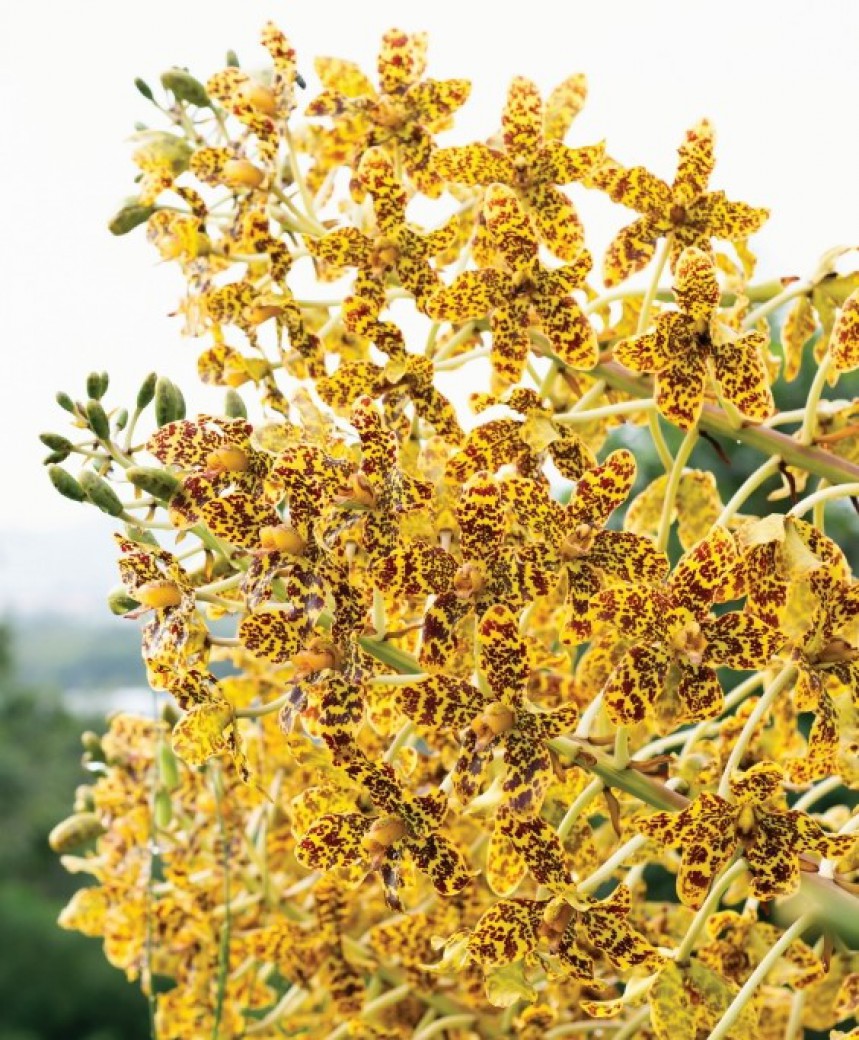 FILE-20260316-1053ADN2GS5RT1PD