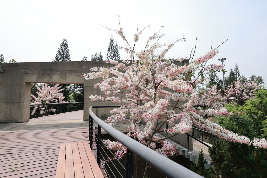 FILE-20260316-1053PJDLJQ6CK6SK