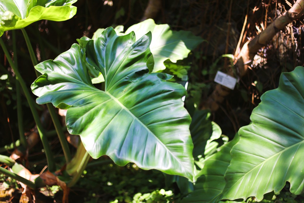 FILE-20260316-1053V568L1P11PWU