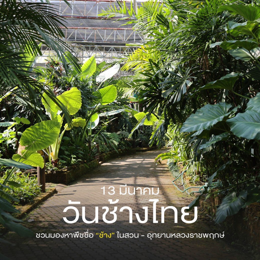 FILE-20260316-1056C231FCXM43Y9