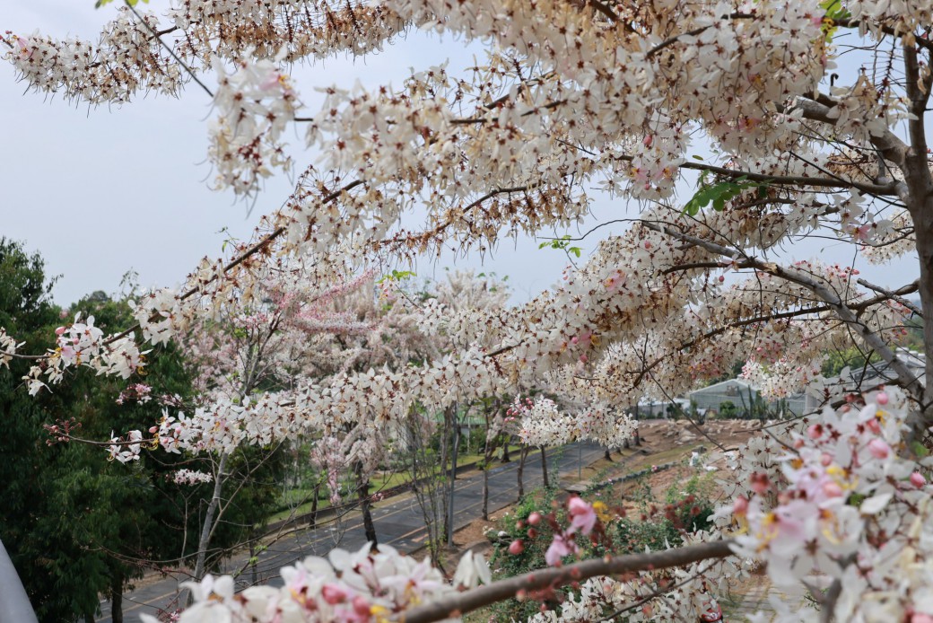 FILE-20260316-1056PZC7JBDWHGN6