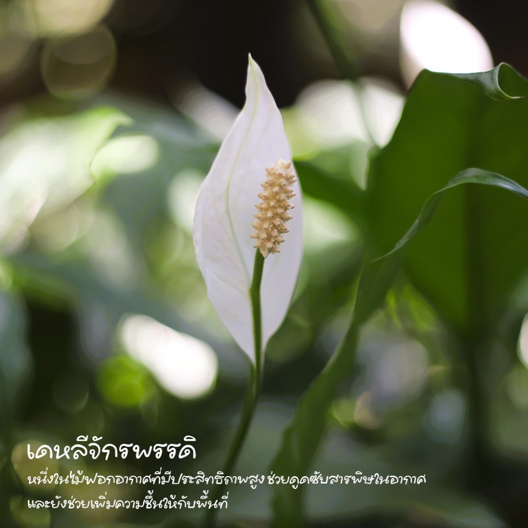 FILE-20260316-1056S2VJ6GC99LL3