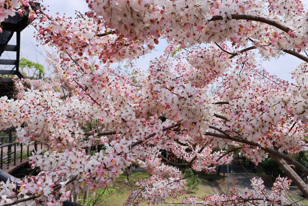 FILE-20260316-105788P7PZF3ZGHC