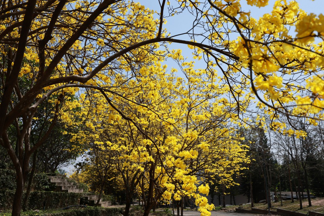 FILE-20260319-1106PQHC9SLC2C3P