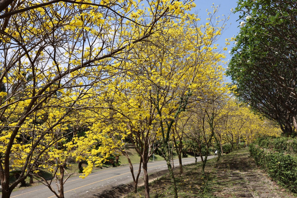 FILE-20260319-1121R5HWUFZRZ2V5