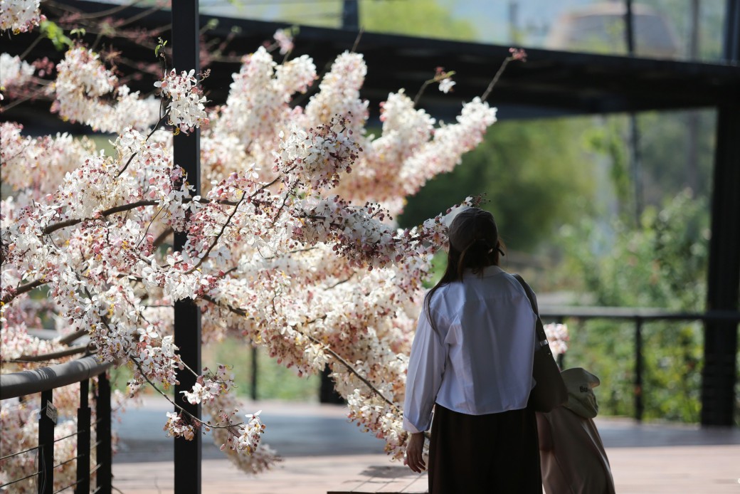 FILE-20260319-11256MK81JLZ5GXW