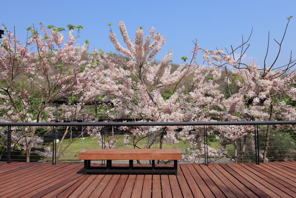 FILE-20260319-1128NR9G49LA87KY