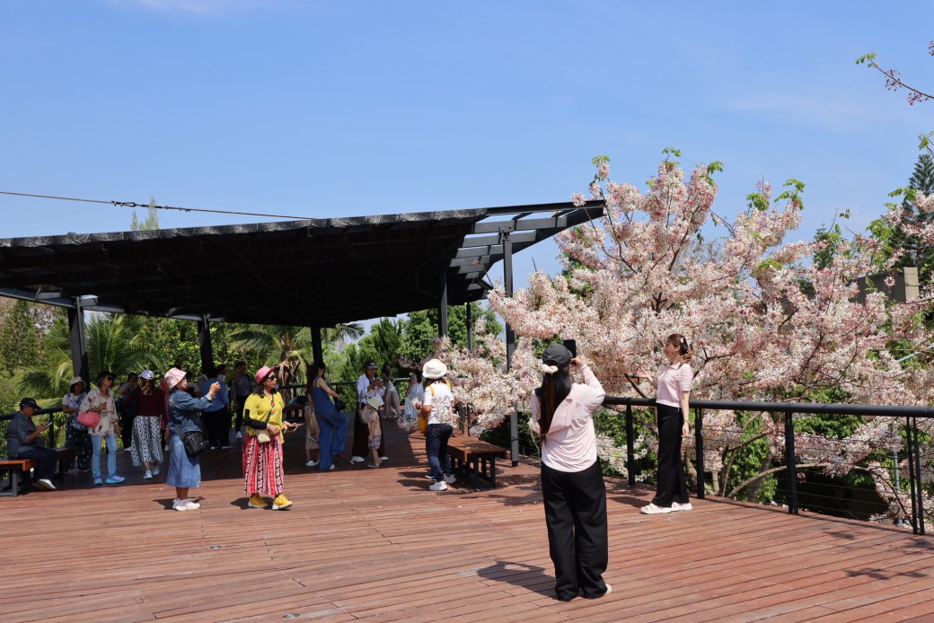 FILE-20260319-1137BPZ265XT54F8