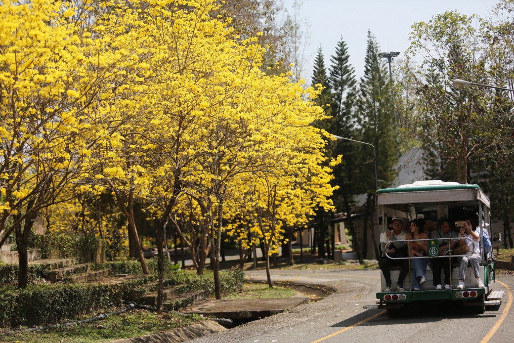 FILE-20260319-1143VE5HKF9DPLDR