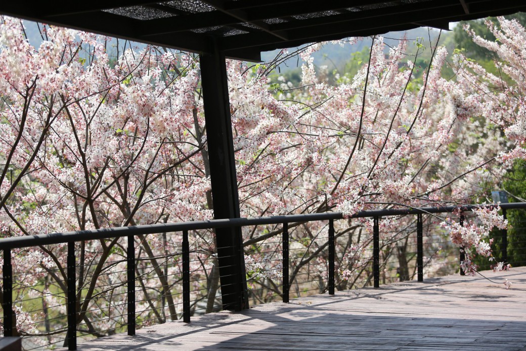 FILE-20260319-1144VPF3WJMJMABJ