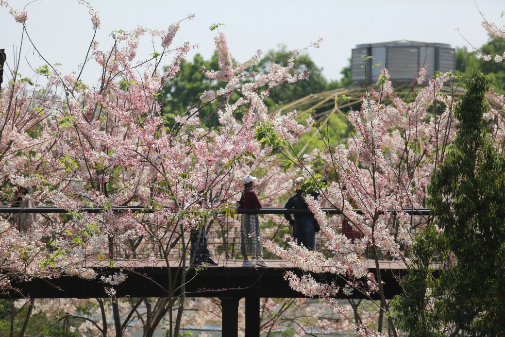 FILE-20260319-1150CDSSM2H6EPL1