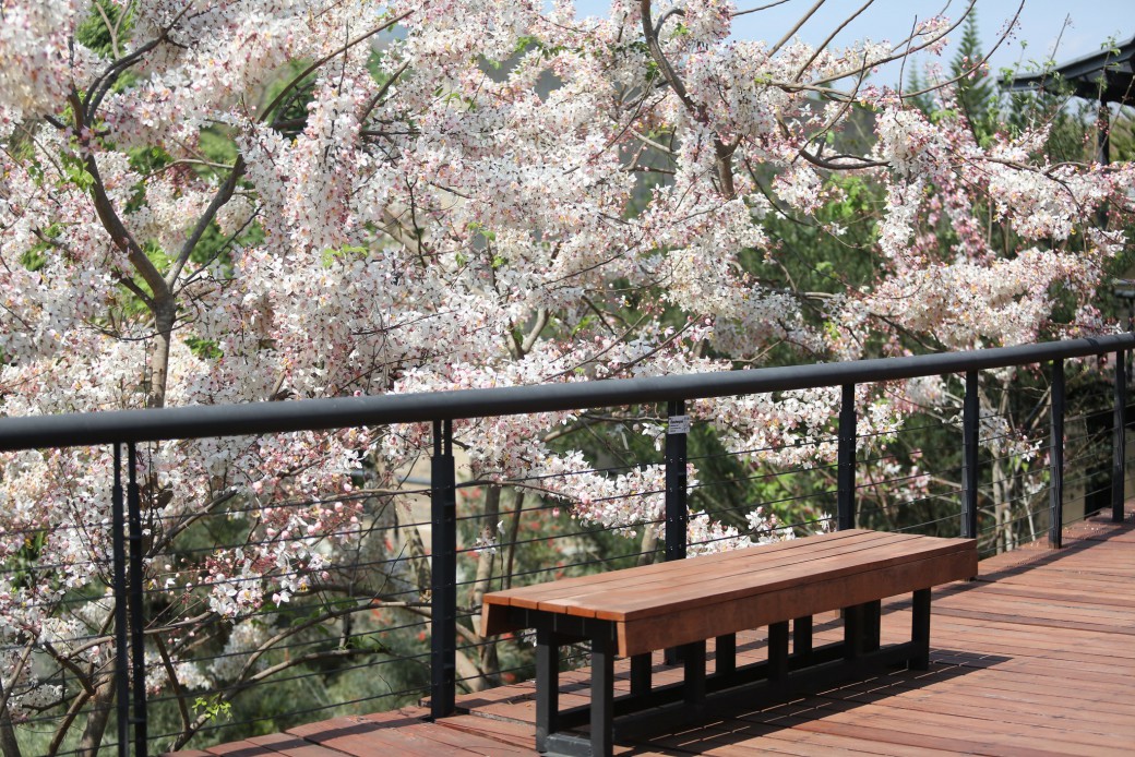 FILE-20260319-11565AERGU8E34EP