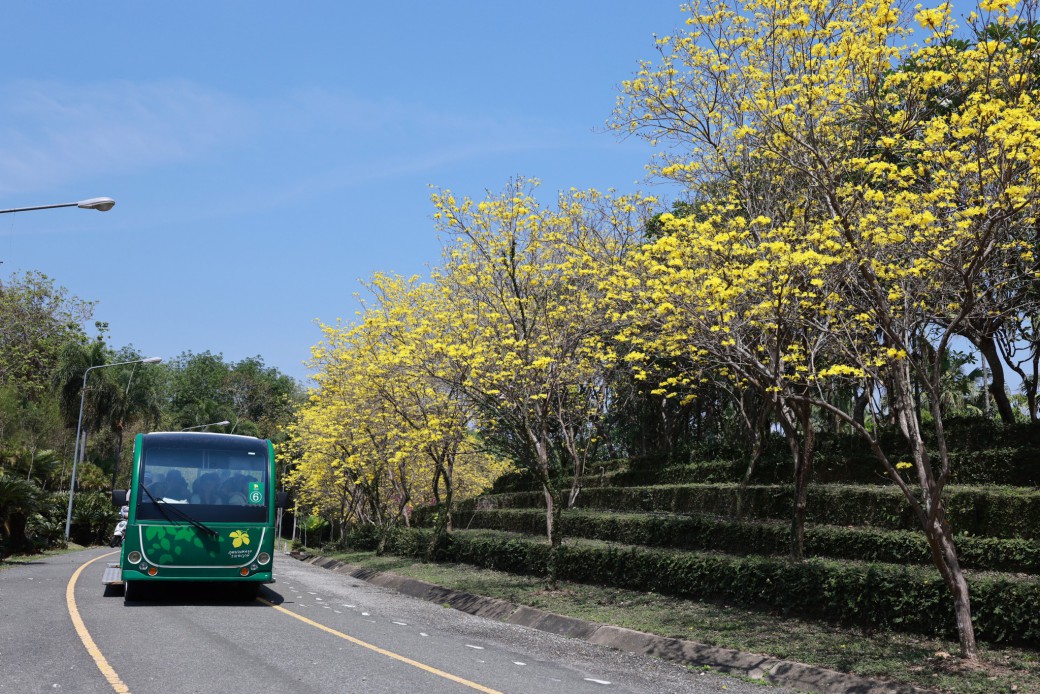 FILE-20260319-1159B38L2PETN4EQ