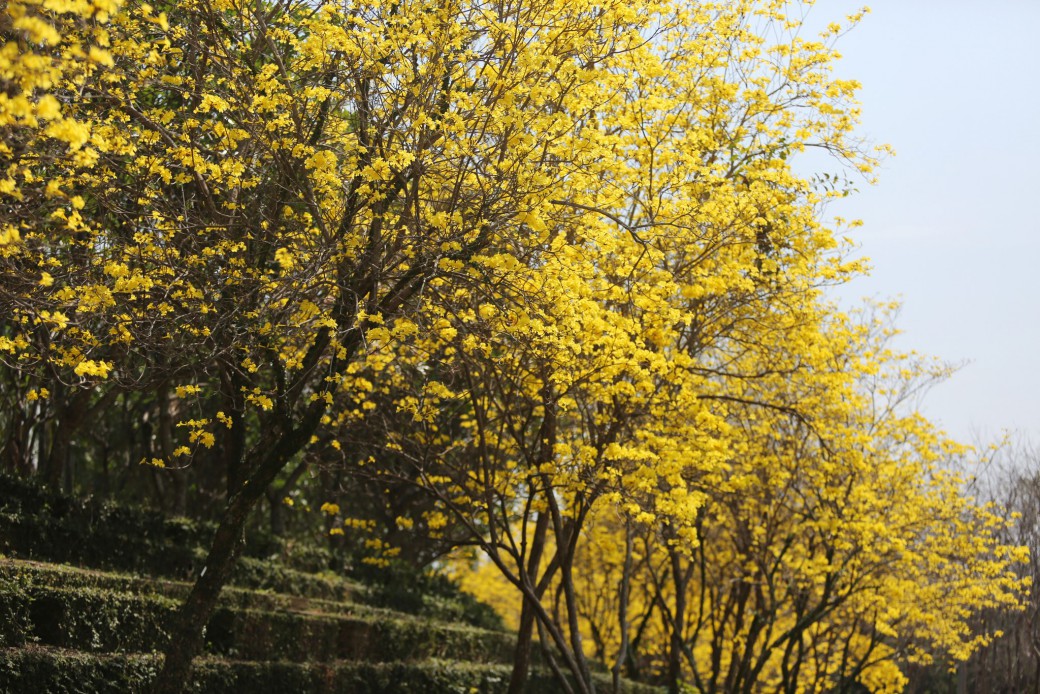 FILE-20260319-1159D42ULMR2PG4E