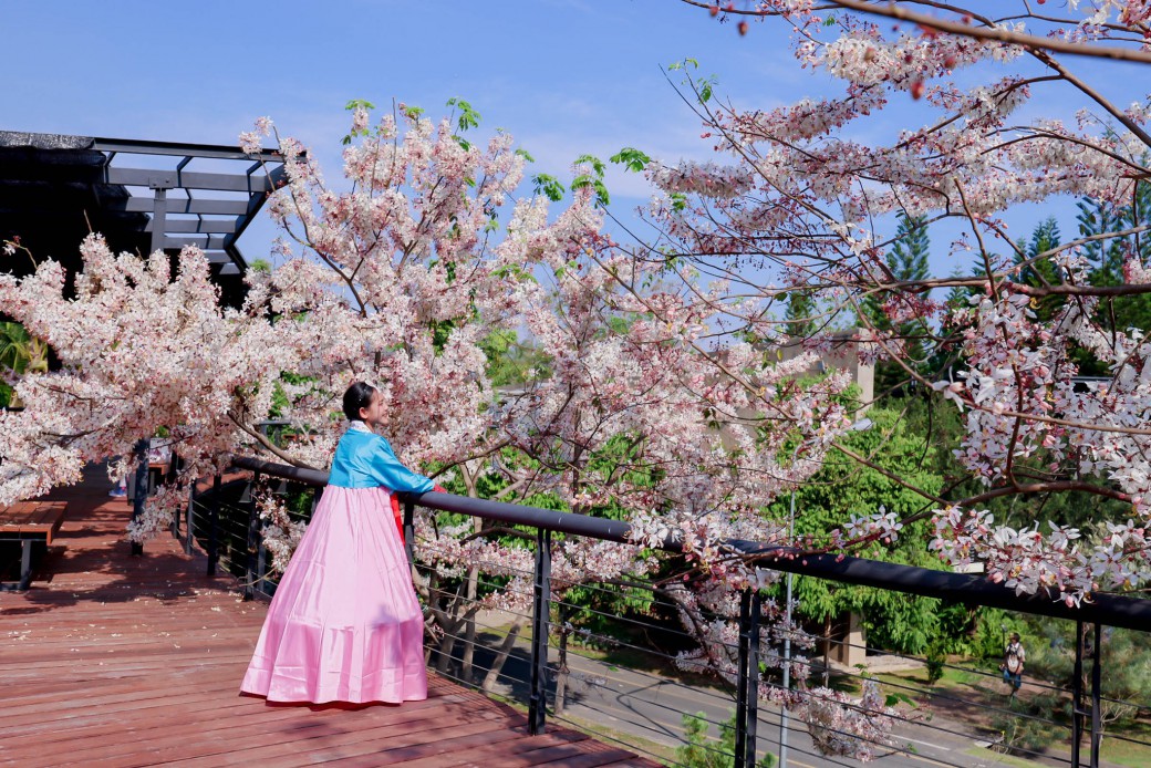 FILE-20260326-11047VMA2HNZ74HF