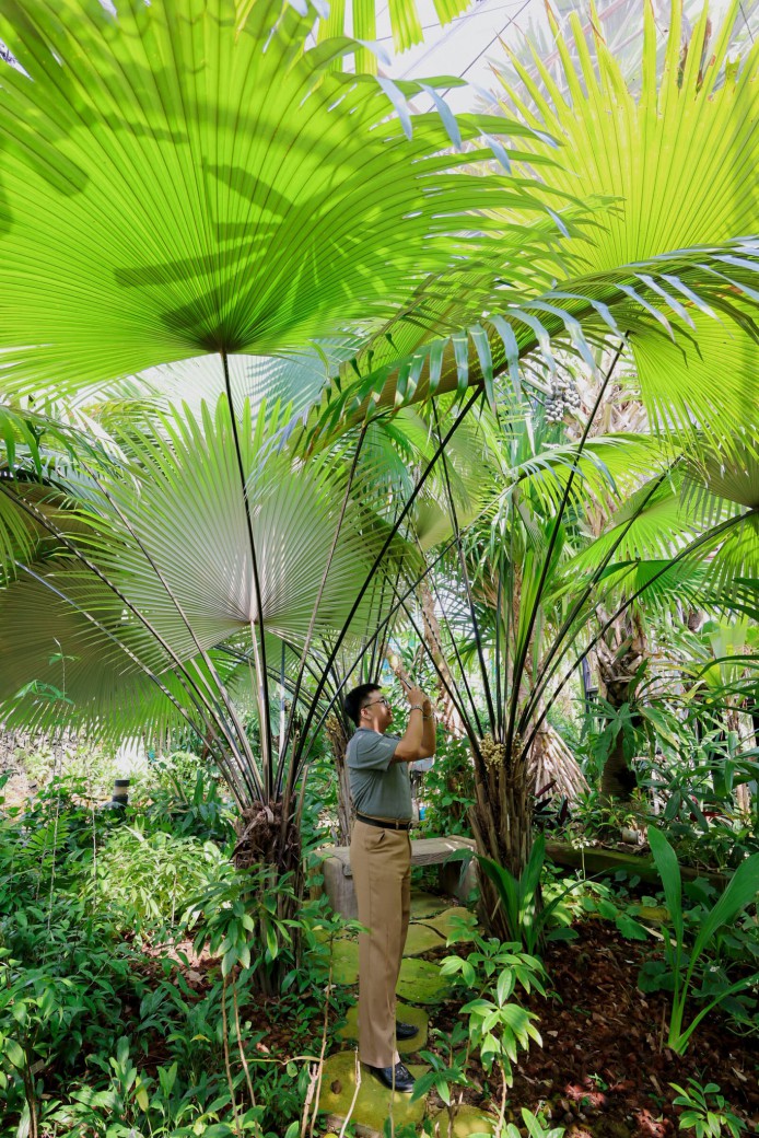 FILE-20260326-111014DJAQLE8GTC