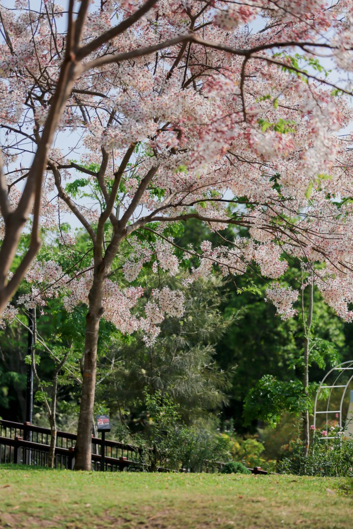 FILE-20260326-11109ZBSCKK5HHEJ