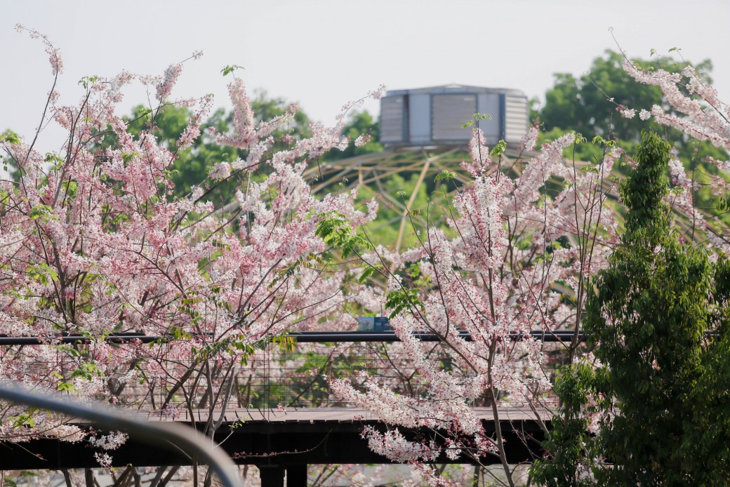 FILE-20260326-1111GA5LKCKUE9VB