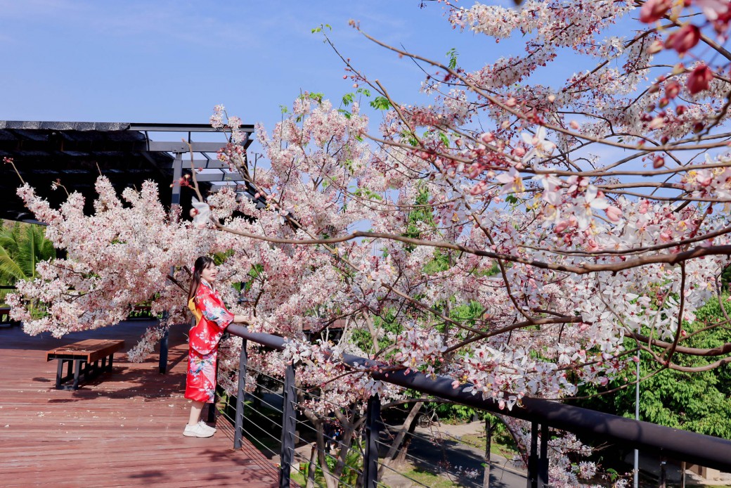 FILE-20260326-1121CL6UG26TN1KF