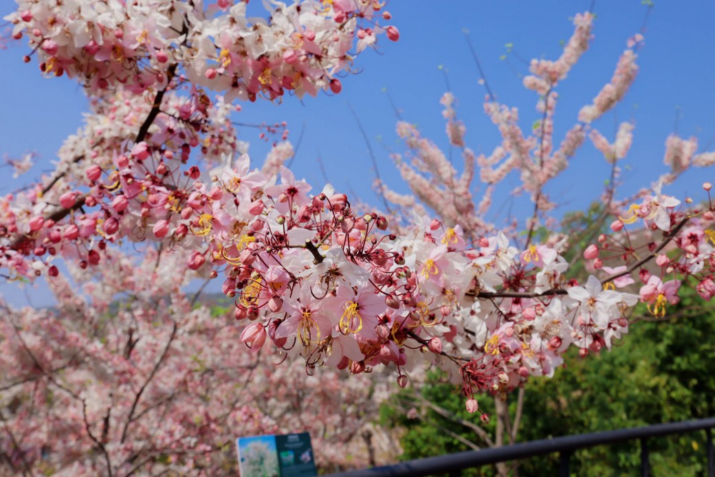 FILE-20260326-1122K1QS79XMTXEX