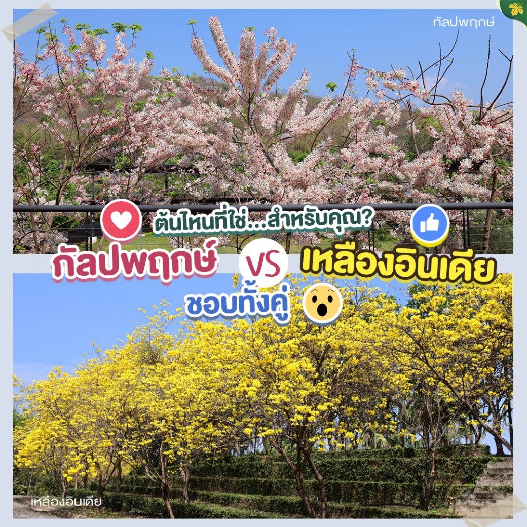 FILE-20260326-1130X63QCX2GJATG