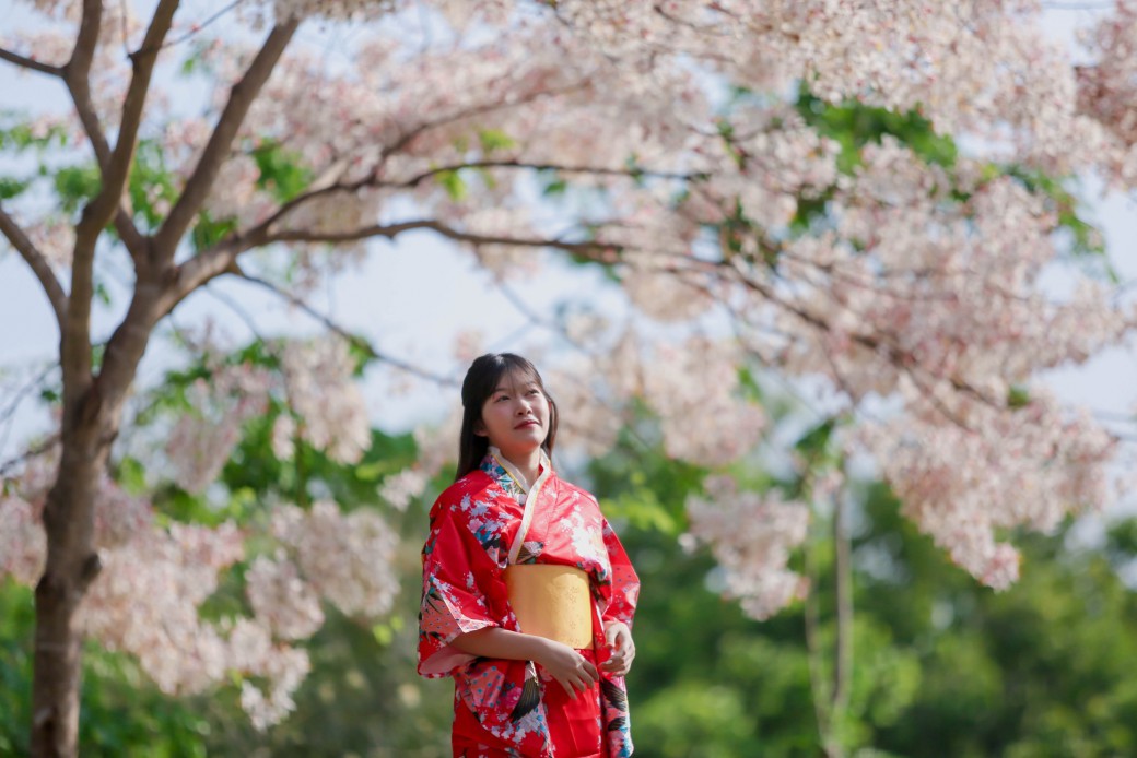 FILE-20260326-1137TK91XXQ29Z96