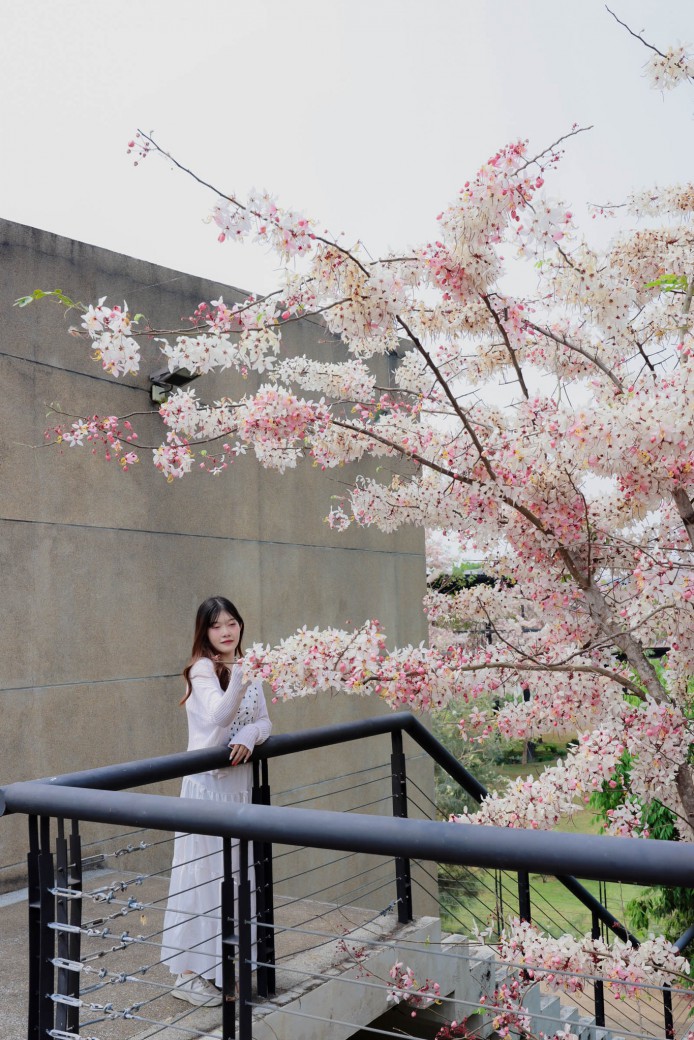 FILE-20260326-1152YYQ7SEDERZNM