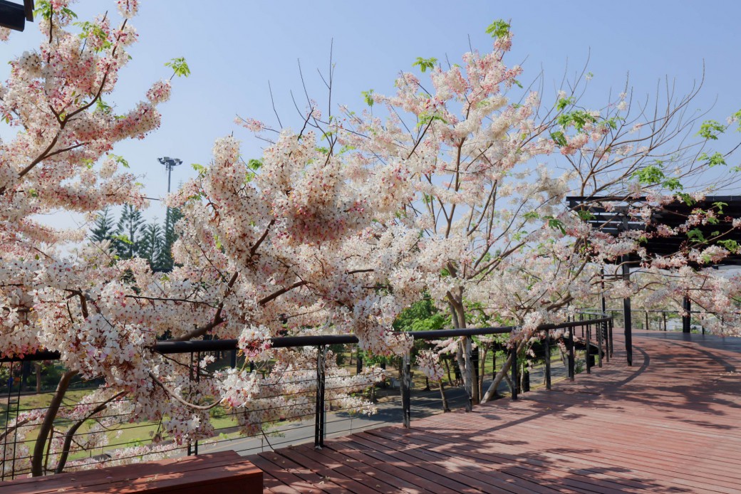 FILE-20260326-12027AH7H9G3MDY4