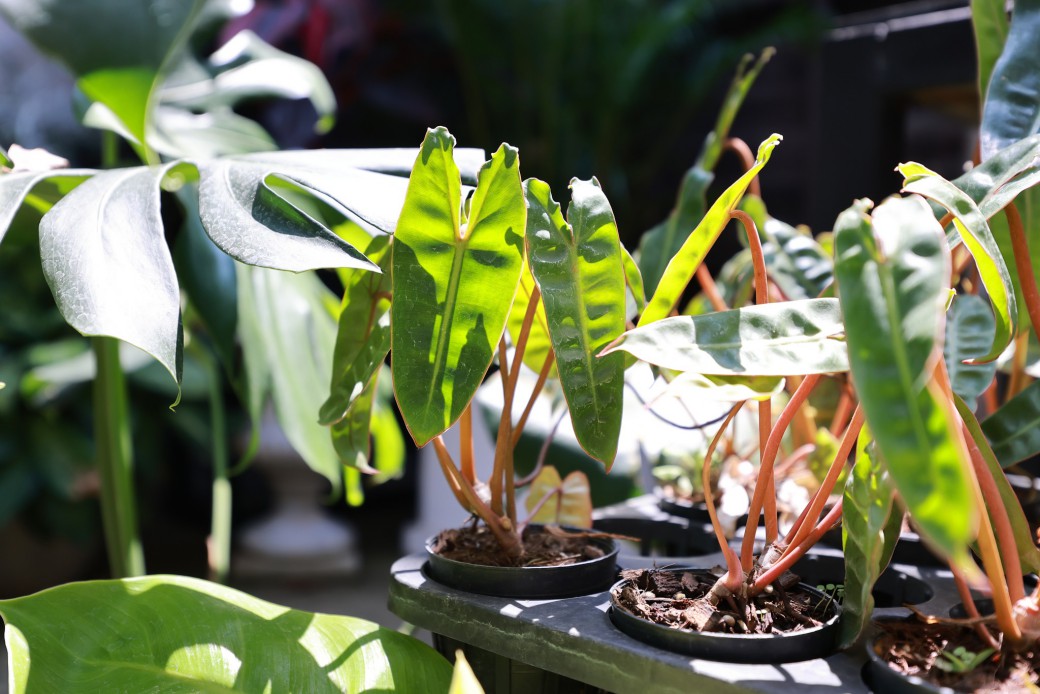 FILE-20260326-1204YJT922ETUUZR