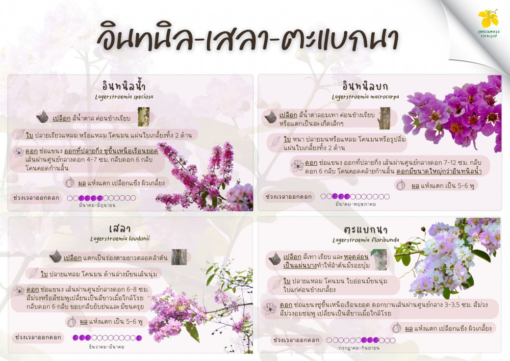 FILE-20260326-1205QY7XL6KHZ25V