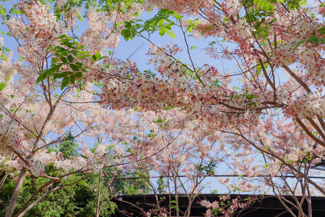 FILE-20260326-1208B2VQGK45P76V