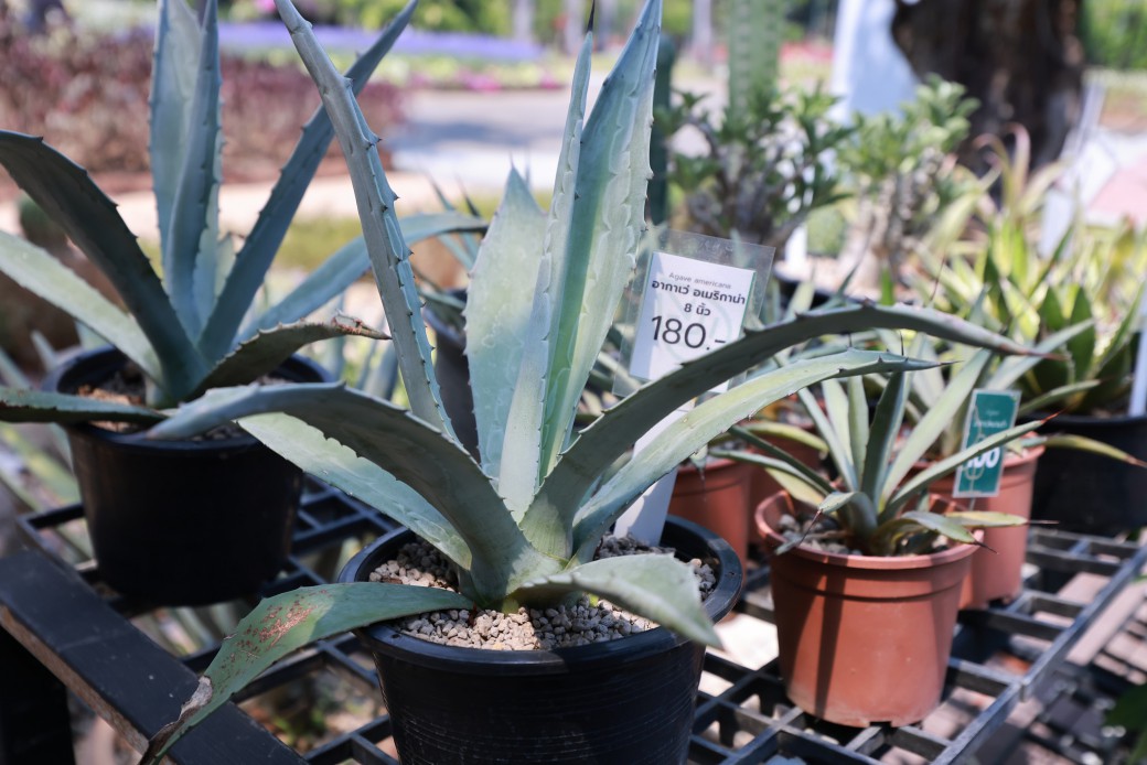 FILE-20260326-1215MUGMJR6GPNCE