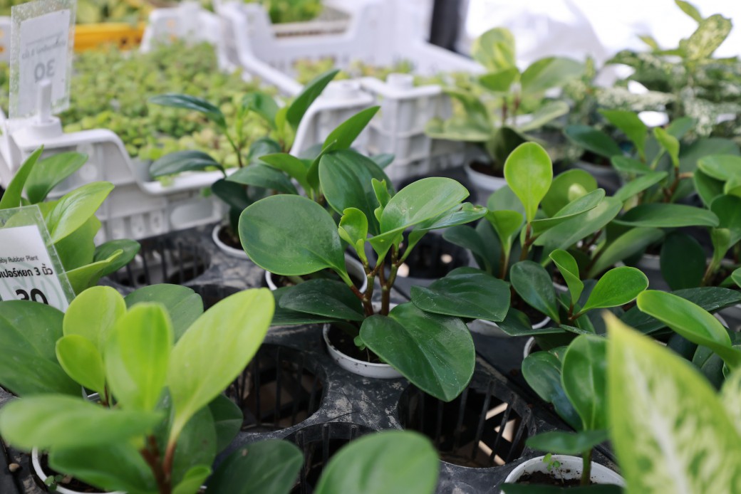 FILE-20260326-1216NQ922SYFLE4X