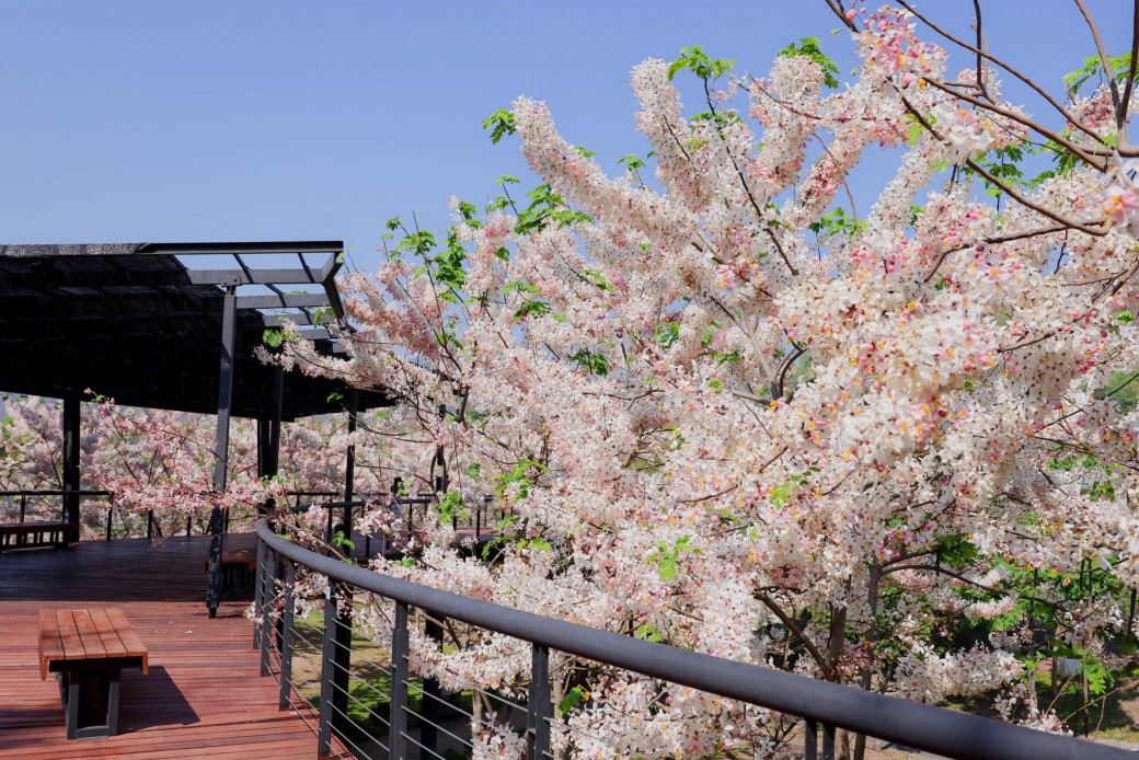 FILE-20260326-12219WK32QPSPP9U