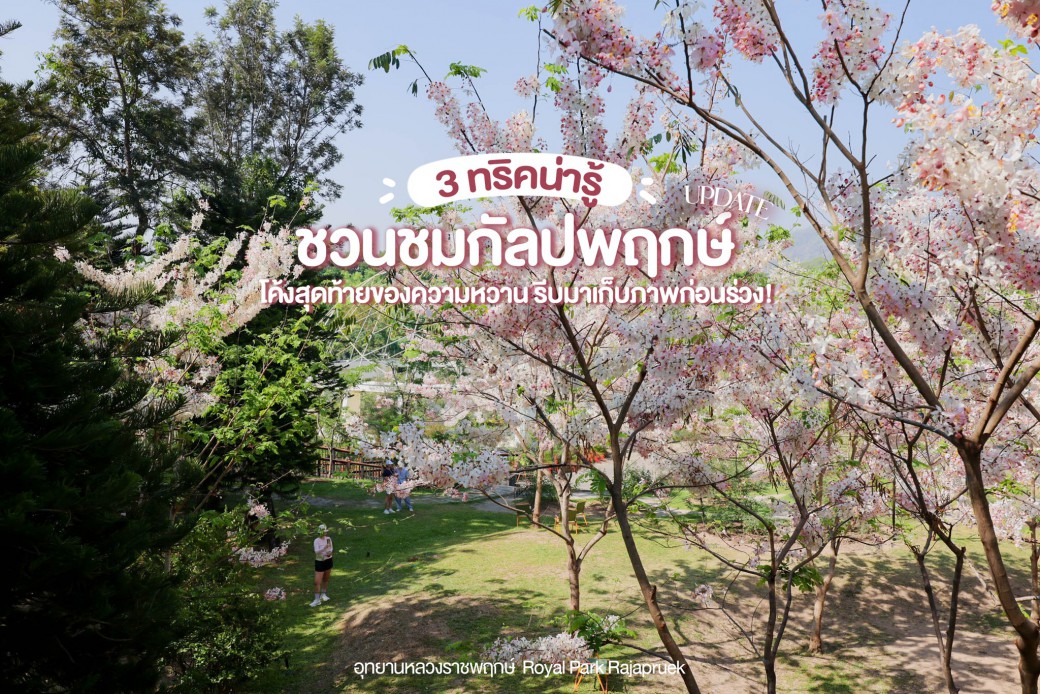 FILE-20260326-1222VUFMT192SCXN