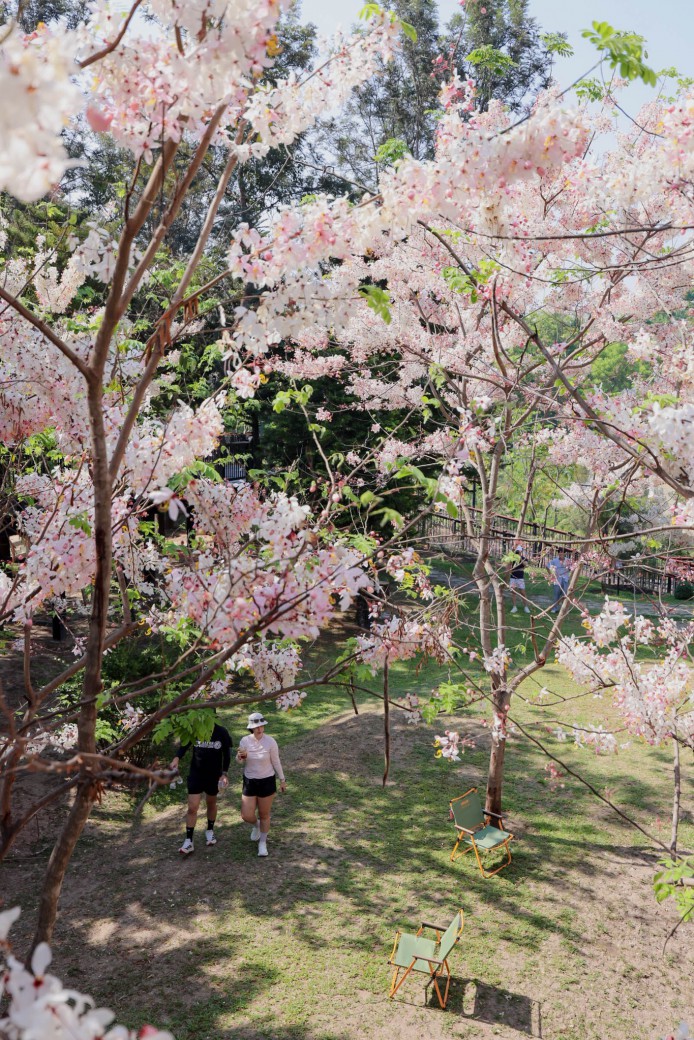 FILE-20260326-12245VX87D9KU6HN