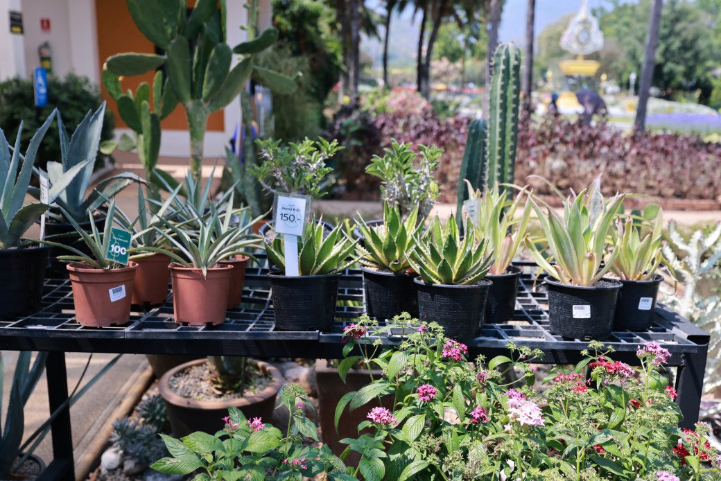 FILE-20260326-1226UV1YYAVYSB2C