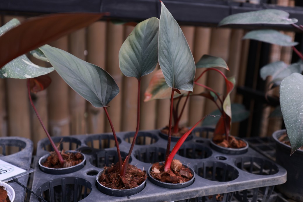 FILE-20260326-1228UQHSDBM9U58Z