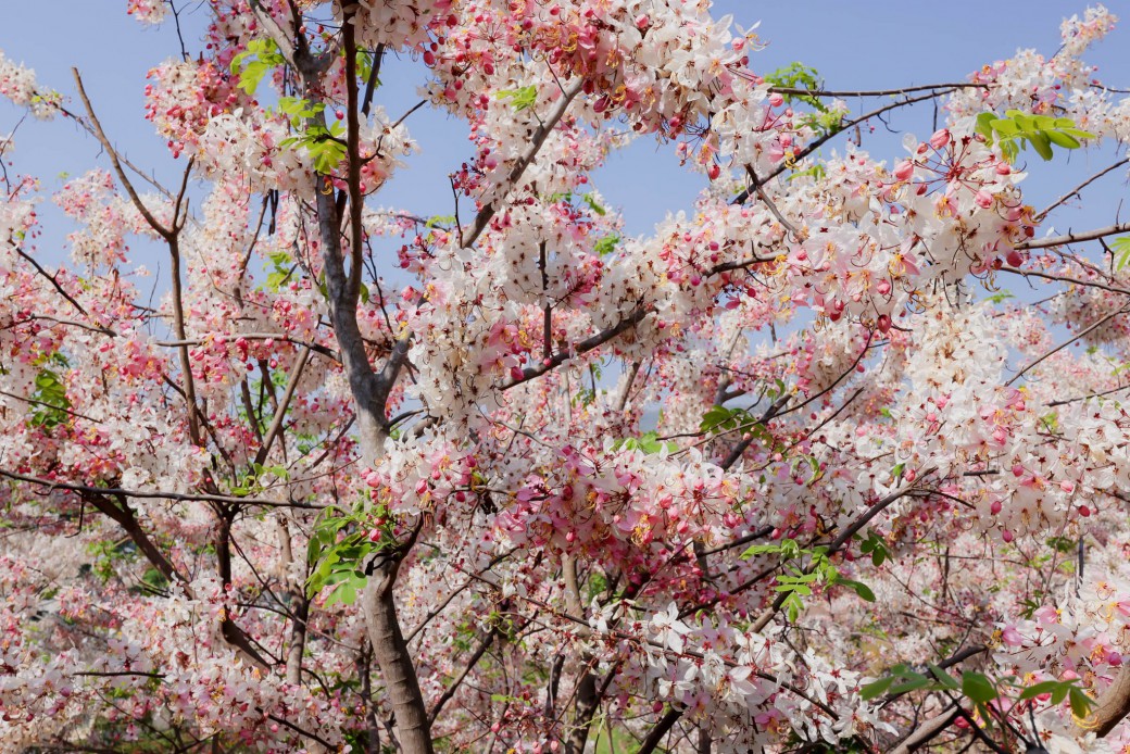 FILE-20260326-1231MGL9H3GGWCEF