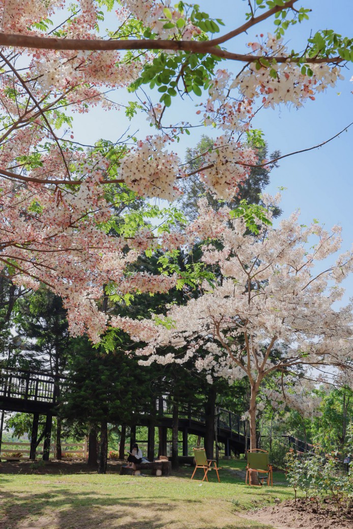 FILE-20260326-12341FXNR4PHKQL2