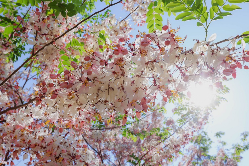 FILE-20260326-1242449X8251B62E