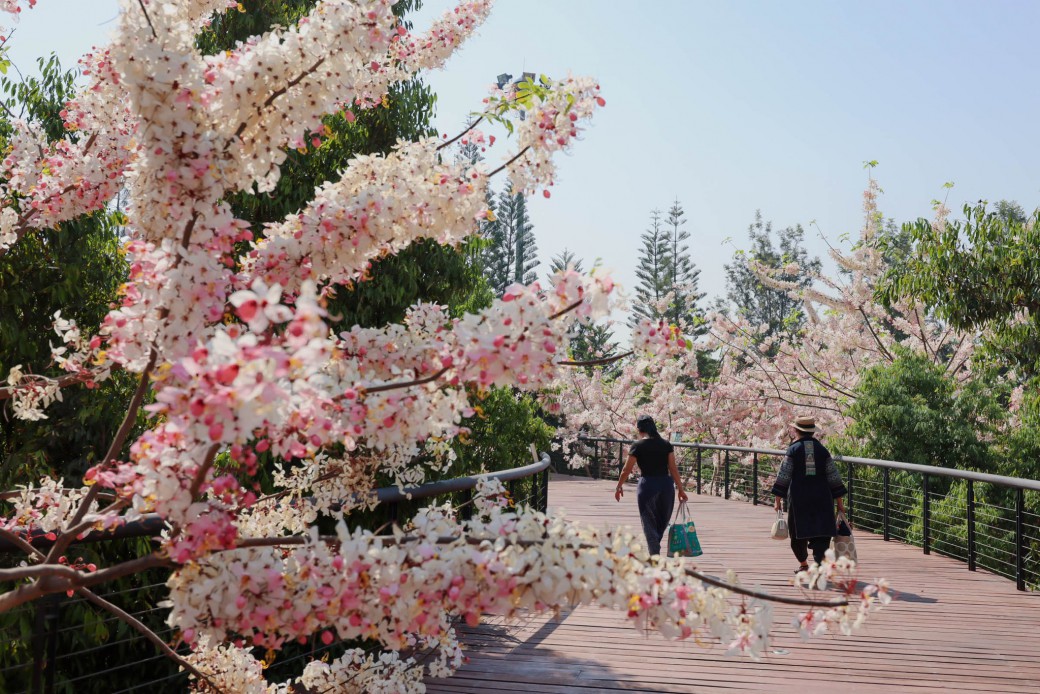 FILE-20260326-1252B2K2NKCYPZ8B