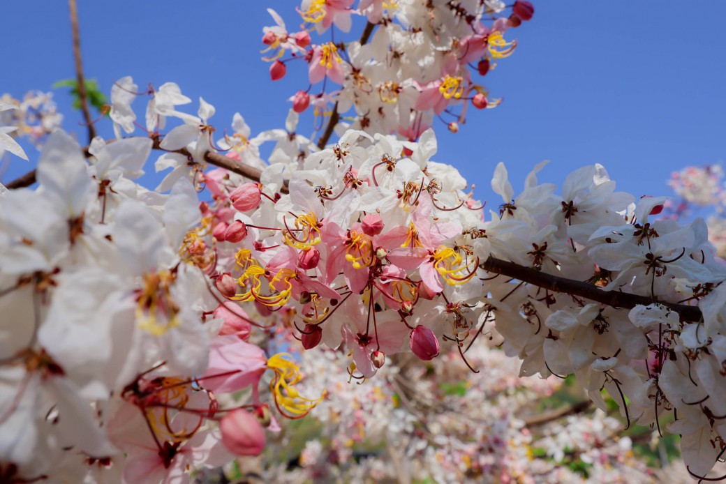 FILE-20260326-1253NHGDT6CKHNS5