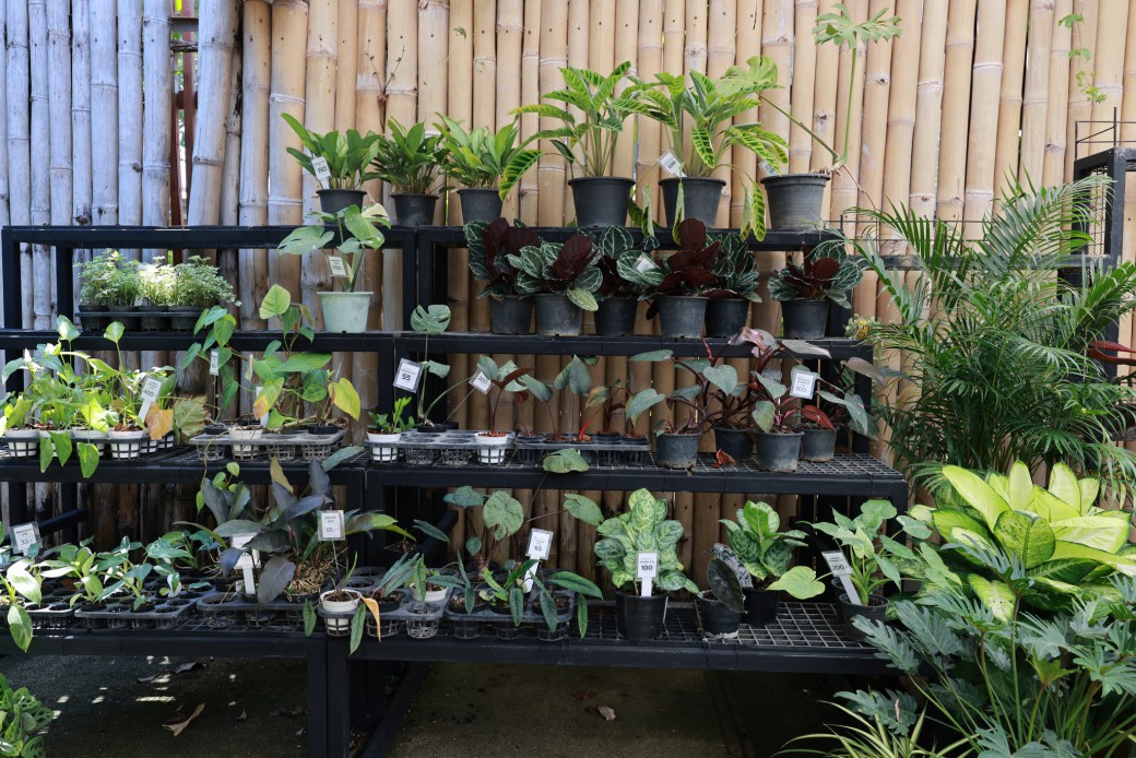 FILE-20260326-12553TMDJPNV9T42