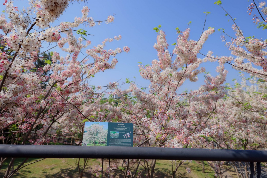 FILE-20260326-1258Q8SYNGDLG3G3