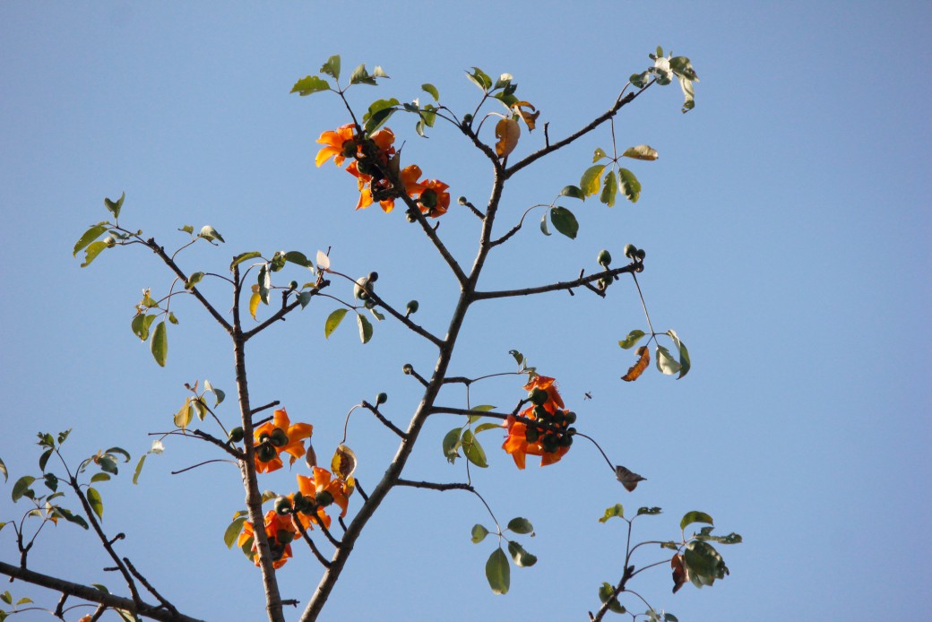 FILE-20260327-11138R8CZE5A4R8Q