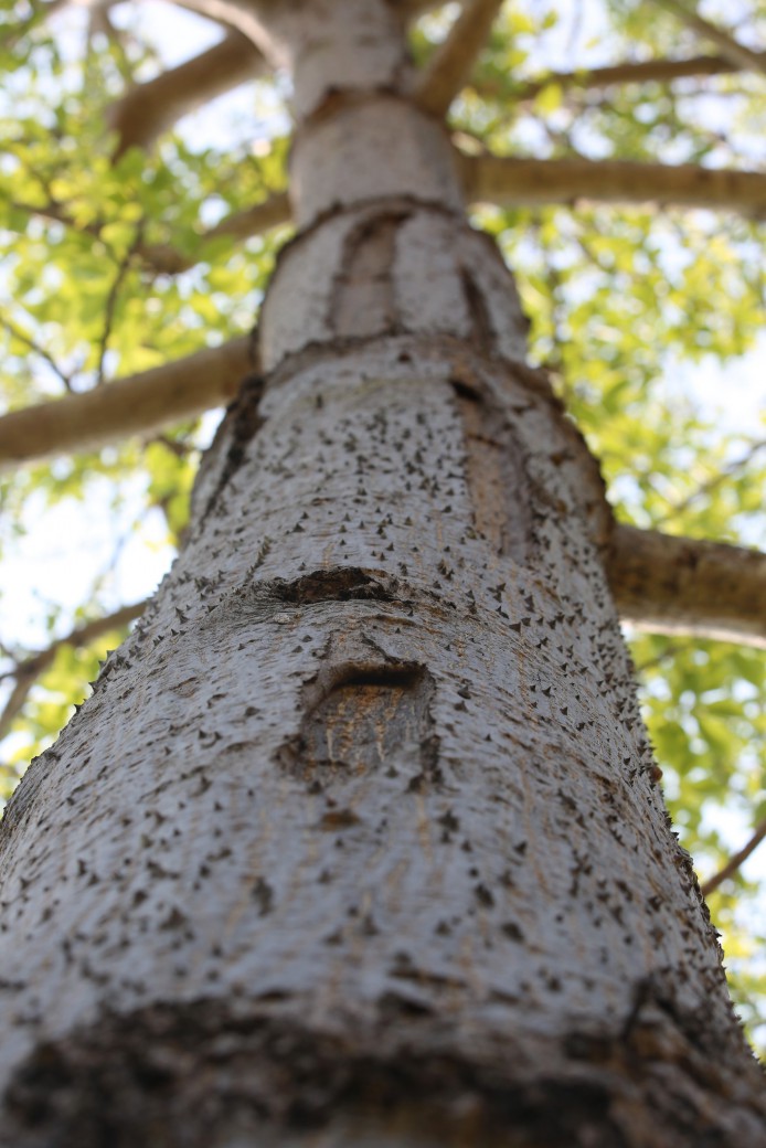 FILE-20260327-1125GRZBRQZ4X5A3