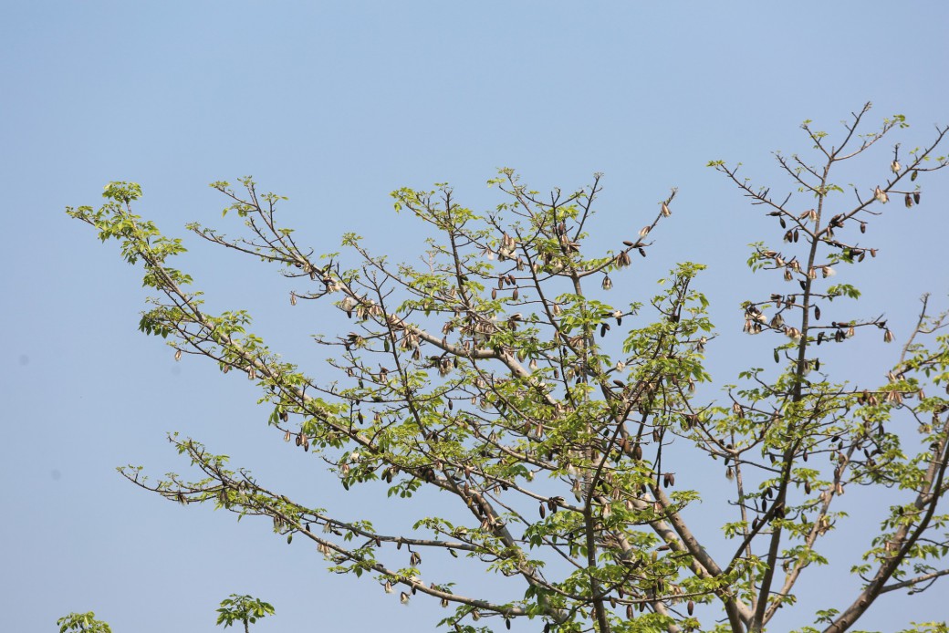 FILE-20260327-11278JSF1NJ1N4C3